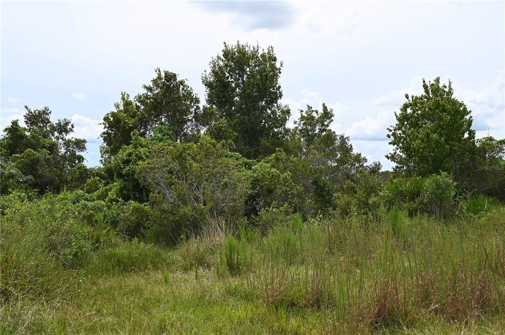 En Venta: $484,000 (40.11 acres)