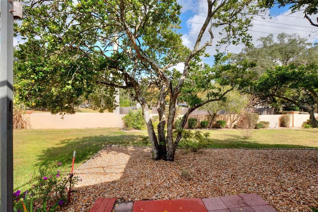 合同活跃: $274,000 (2 贝兹, 2 浴室, 1436 平方英尺)