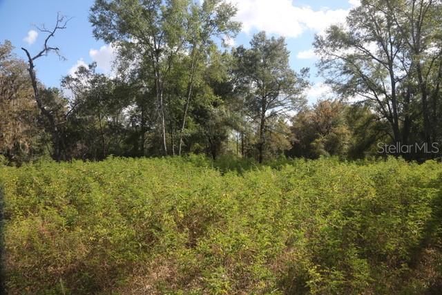 待售: $37,000 (0.23 acres)