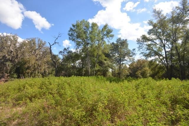 待售: $37,000 (0.23 acres)