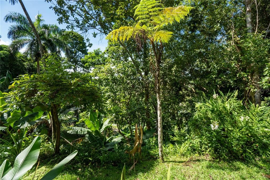 На продажу: $360,000 (3 спален, 3 ванн, 1700 Квадратных фут)