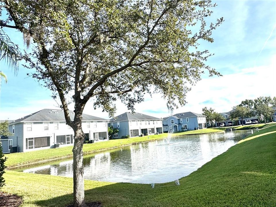 For Sale: $360,000 (3 beds, 2 baths, 1666 Square Feet)