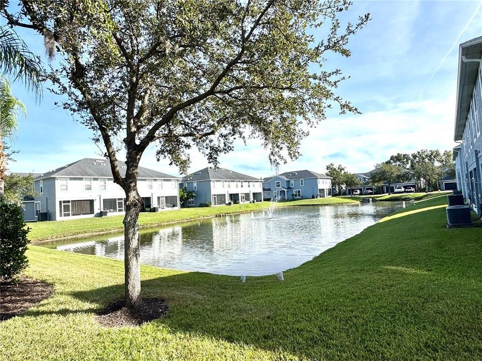 For Sale: $360,000 (3 beds, 2 baths, 1666 Square Feet)