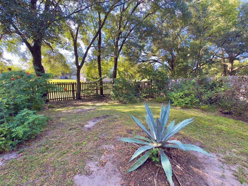 Active With Contract: $335,000 (3 beds, 2 baths, 1500 Square Feet)