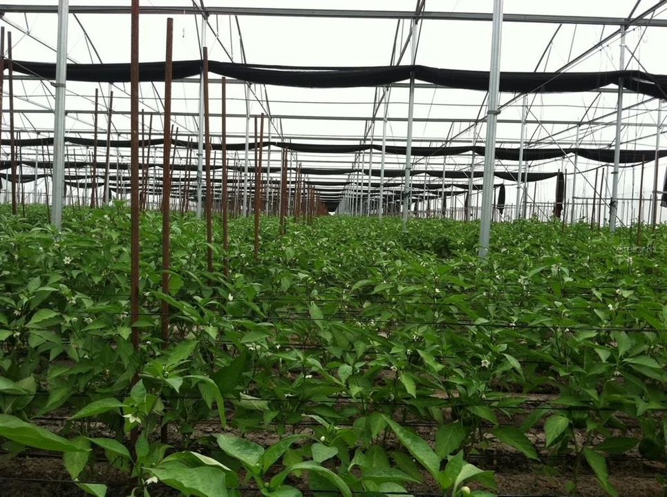 For Sale: $4,999,500 (38.77 acres)