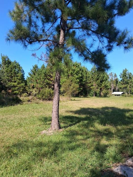 待售: $249,900 (4 贝兹, 2 浴室, 2488 平方英尺)