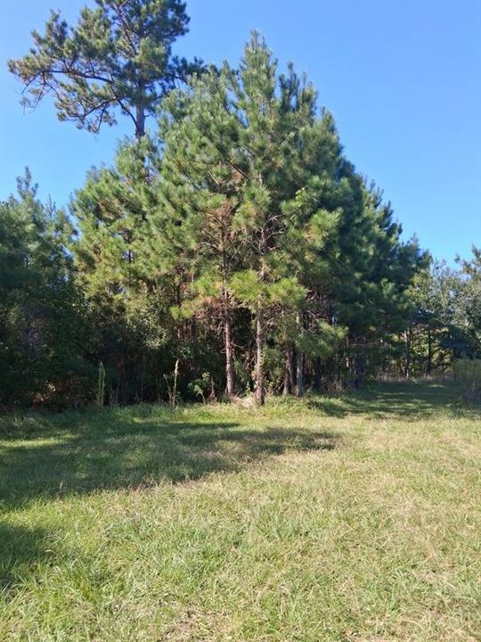 待售: $249,900 (4 贝兹, 2 浴室, 2488 平方英尺)