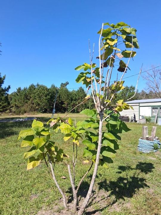 待售: $249,900 (4 贝兹, 2 浴室, 2488 平方英尺)