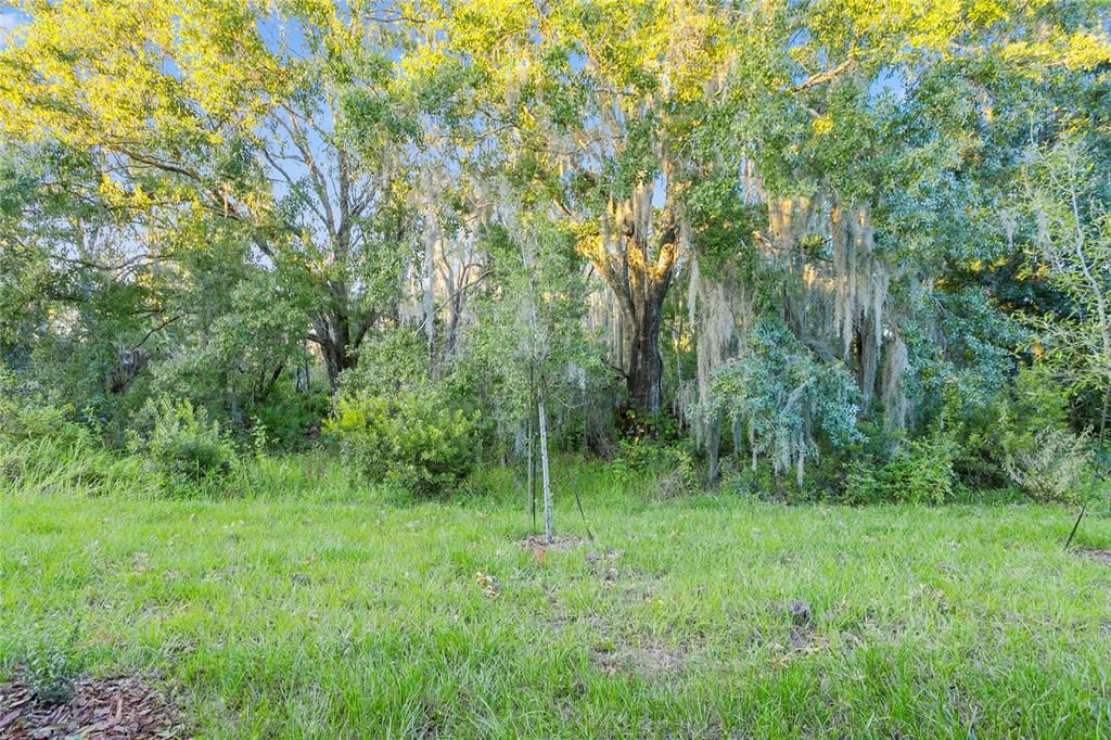 For Rent: $2,100 (3 beds, 2 baths, 1673 Square Feet)