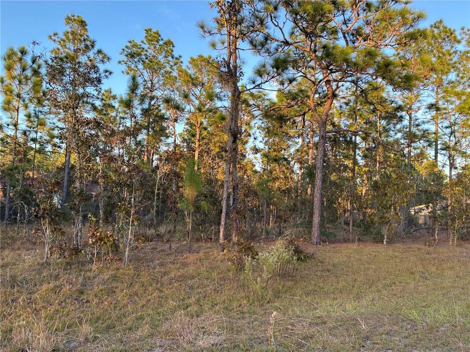 En Venta: $54,900 (0.70 acres)