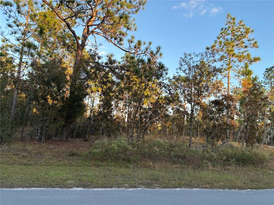 En Venta: $54,900 (0.70 acres)