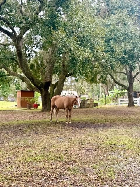 Active With Contract: $335,000 (3 beds, 2 baths, 1728 Square Feet)