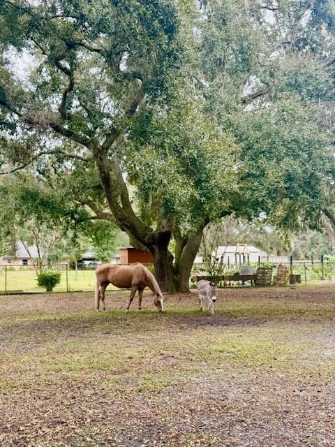 Active With Contract: $335,000 (3 beds, 2 baths, 1728 Square Feet)