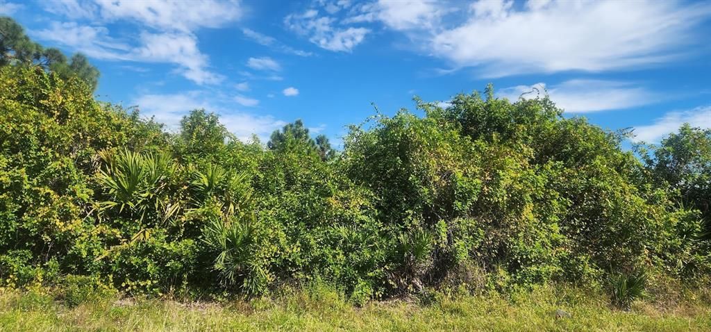 На продажу: $23,500 (0.29 acres)