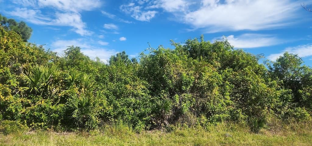 На продажу: $23,500 (0.29 acres)