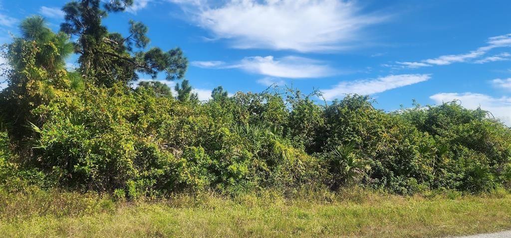 На продажу: $23,500 (0.29 acres)