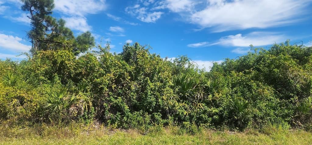 На продажу: $23,500 (0.29 acres)