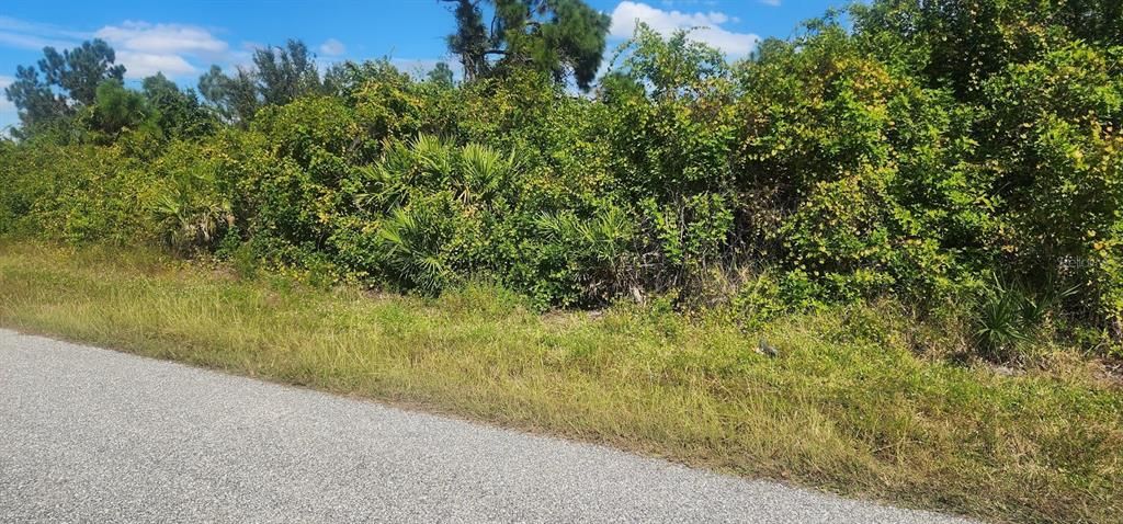 На продажу: $23,500 (0.29 acres)