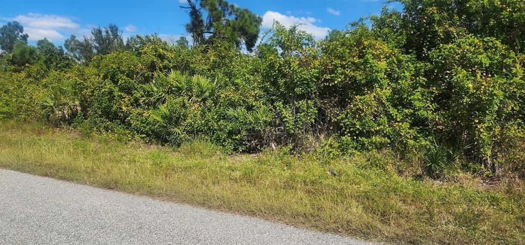 На продажу: $23,500 (0.29 acres)