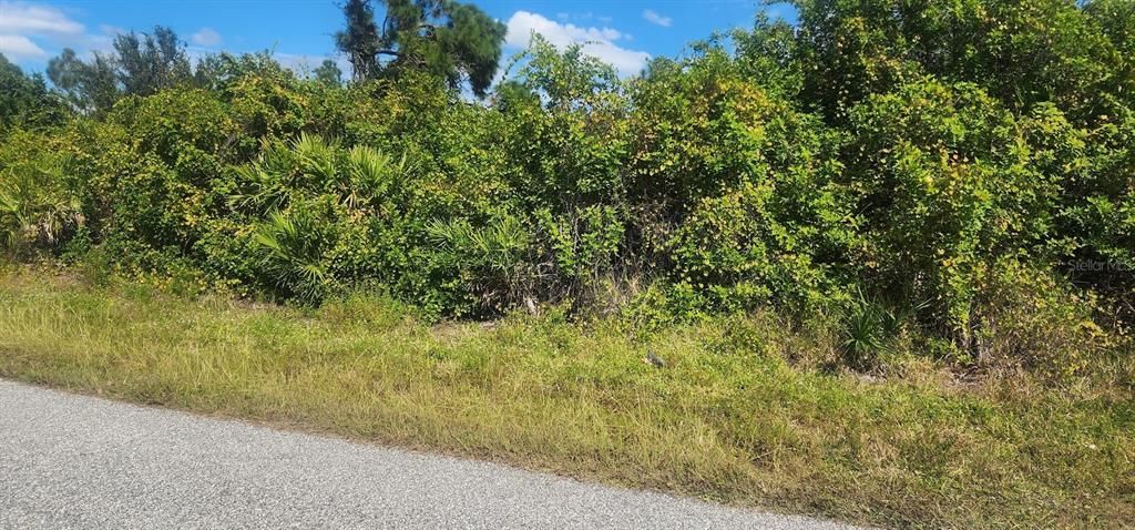 На продажу: $23,500 (0.29 acres)