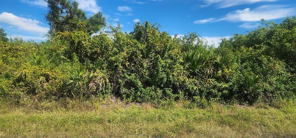 На продажу: $23,500 (0.29 acres)