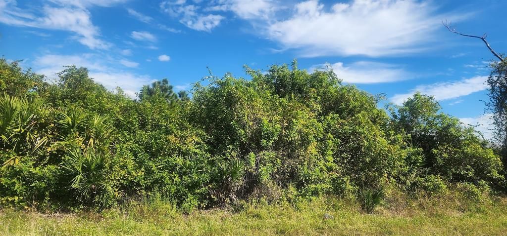 На продажу: $23,500 (0.29 acres)