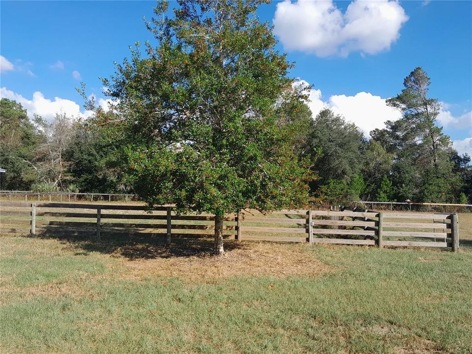 For Sale: $495,000 (3 beds, 3 baths, 936 Square Feet)