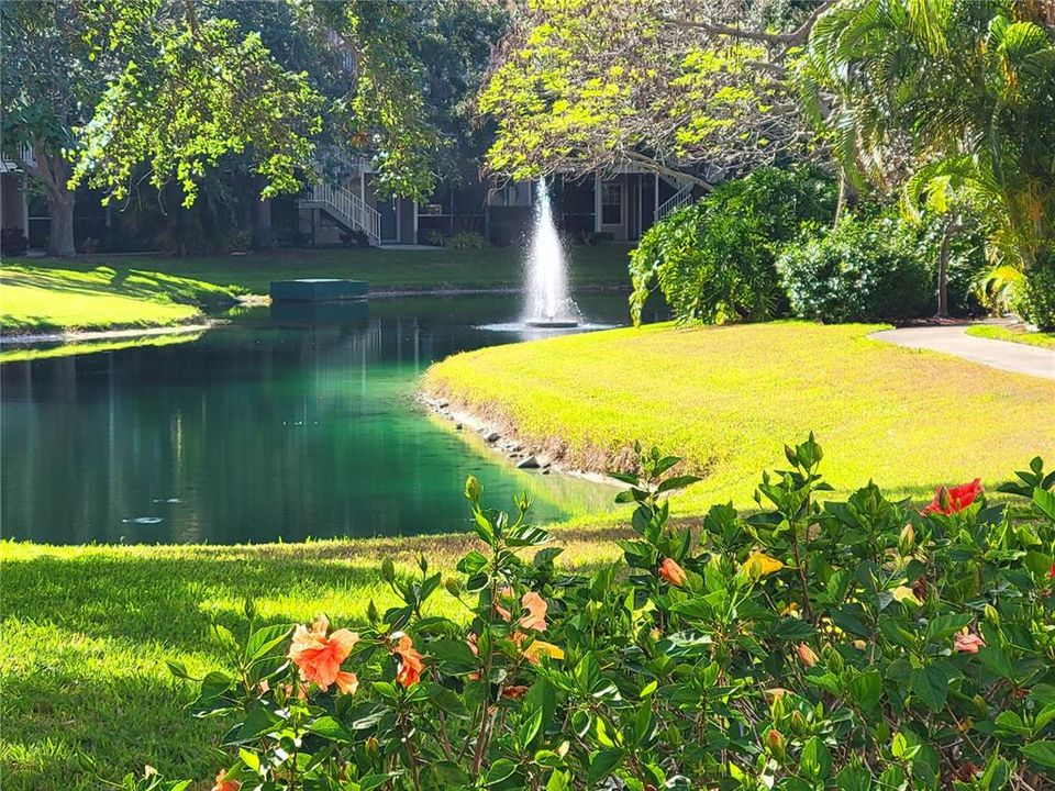 待售: $239,000 (1 贝兹, 1 浴室, 785 平方英尺)