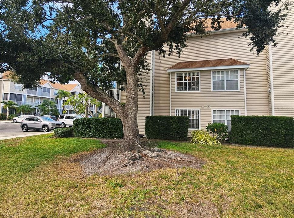 待售: $239,000 (1 贝兹, 1 浴室, 785 平方英尺)