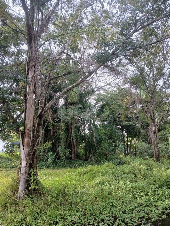 待售: $70,000 (0.17 acres)