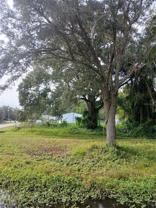 待售: $70,000 (0.17 acres)