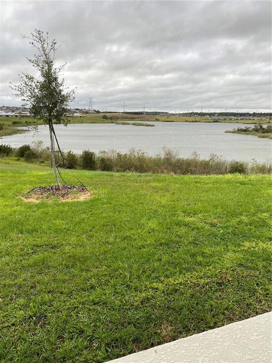 出租: $2,700 (3 贝兹, 3 浴室, 1850 平方英尺)