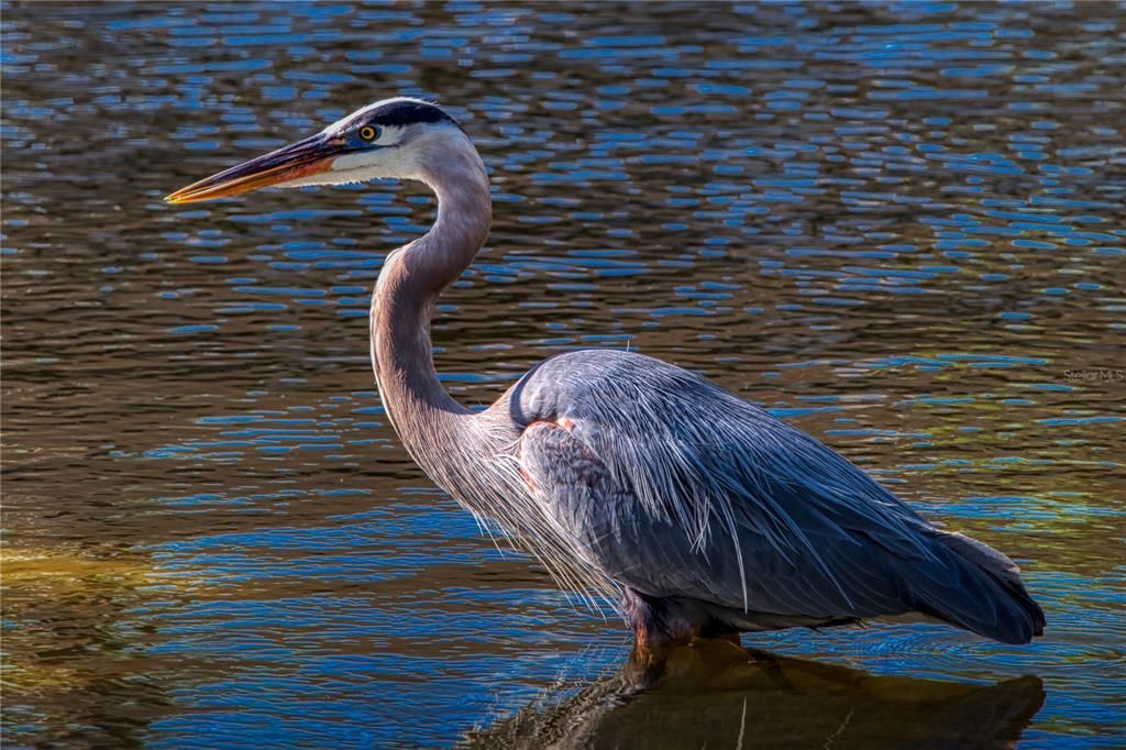 En Venta: $198,400 (2 camas, 2 baños, 1461 Pies cuadrados)