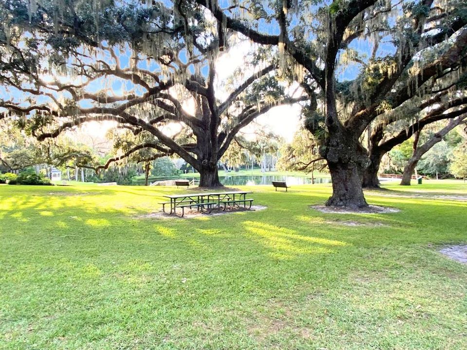 For Sale: $113,000 (1 beds, 1 baths, 877 Square Feet)