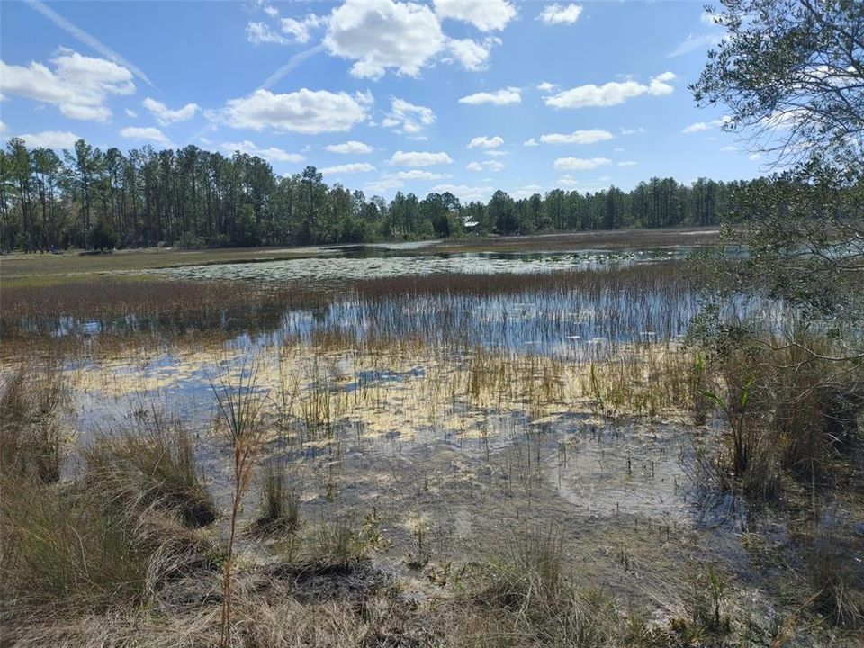 En Venta: $35,000 (0.50 acres)