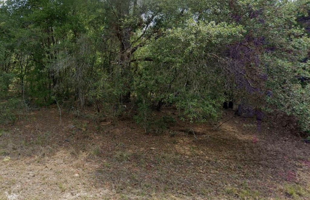 Recently Sold: $25,000 (0.23 acres)