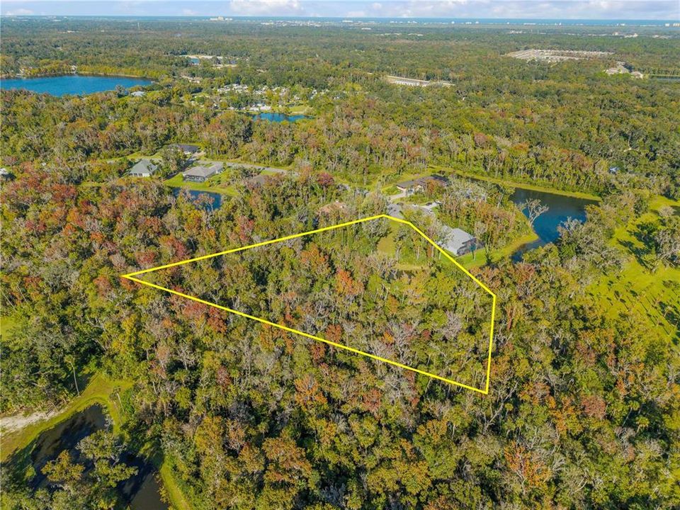 待售: $299,000 (2.66 acres)