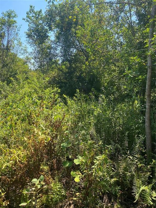 На продажу: $52,000 (0.23 acres)