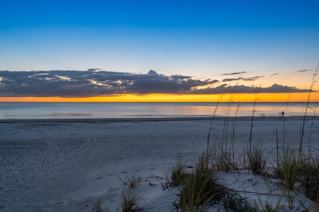 出租: $6,500 (5 贝兹, 4 浴室, 3400 平方英尺)