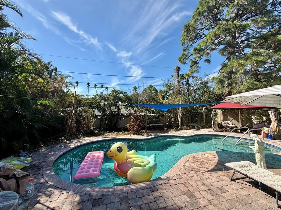 出租: $3,500 (3 贝兹, 2 浴室, 1692 平方英尺)