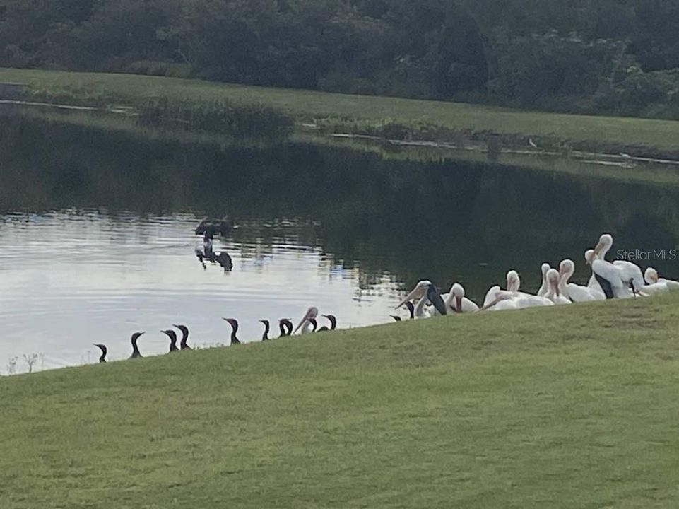 На продажу: $349,000 (3 спален, 2 ванн, 1489 Квадратных фут)