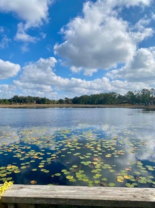 待售: $55,000 (0.06 acres)