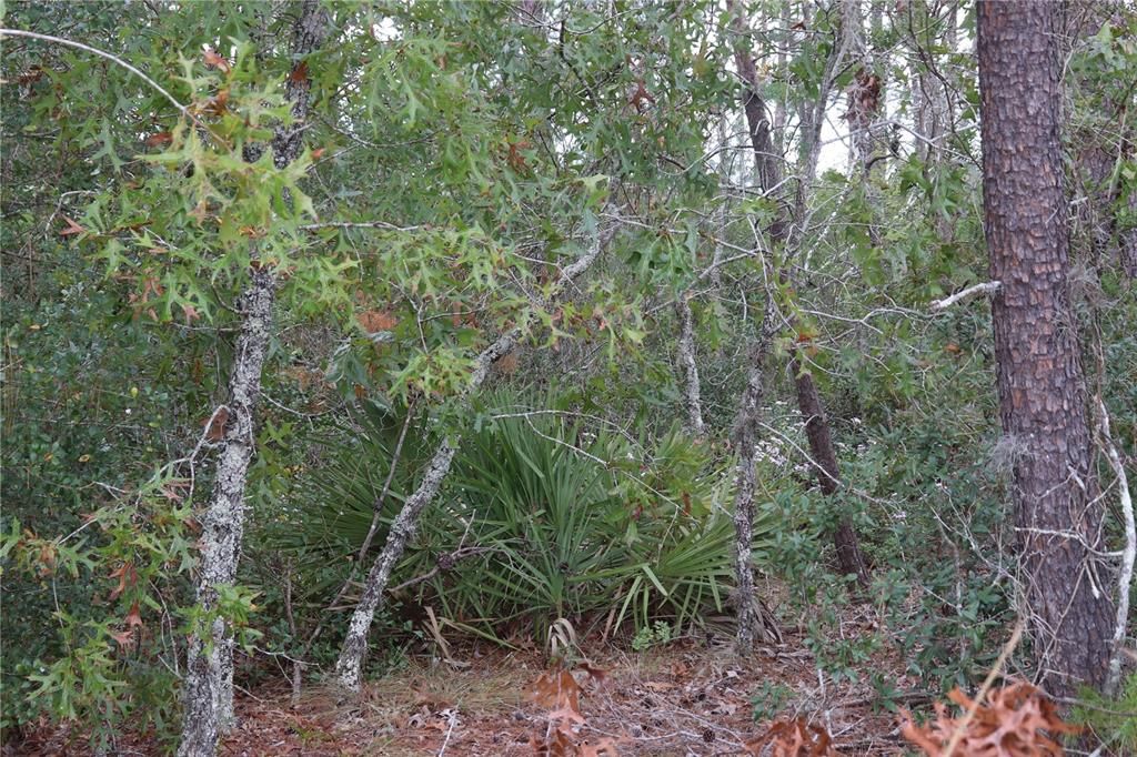 На продажу: $179,900 (5.21 acres)