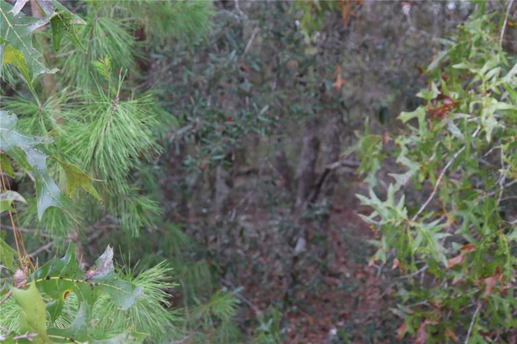 На продажу: $179,900 (5.21 acres)