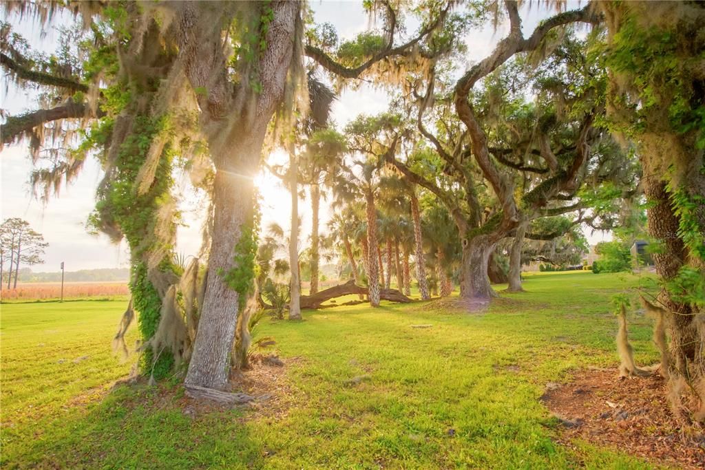 For Sale: $1,700,000 (4 beds, 3 baths, 3449 Square Feet)