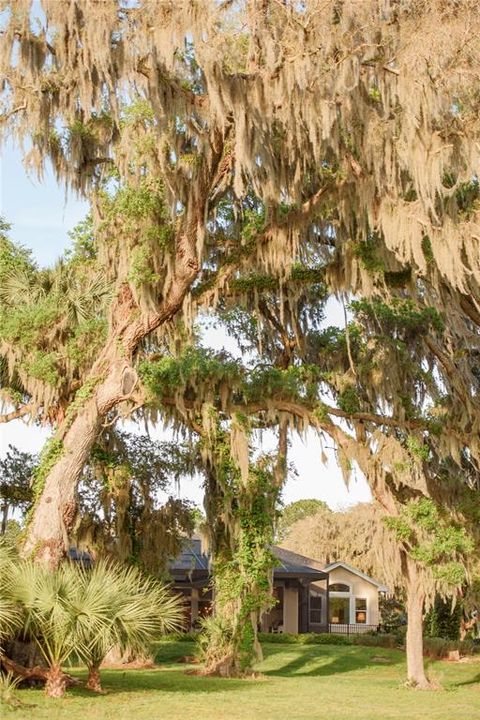 For Sale: $1,700,000 (4 beds, 3 baths, 3449 Square Feet)