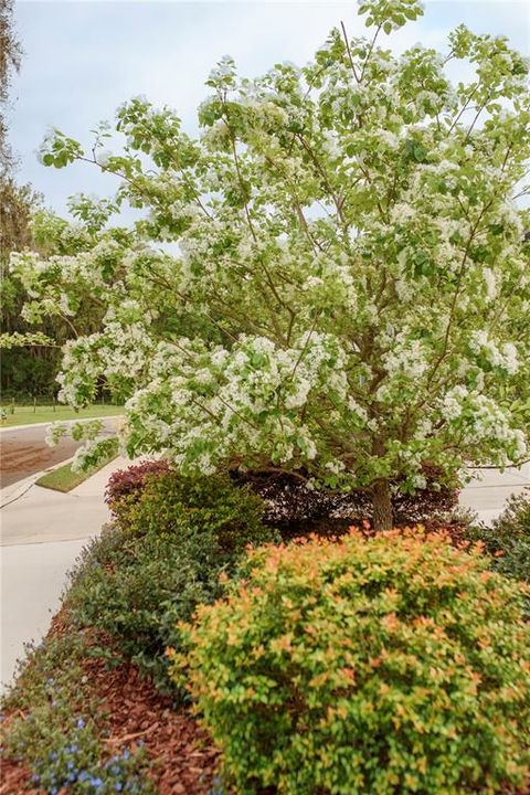 For Sale: $1,700,000 (4 beds, 3 baths, 3449 Square Feet)