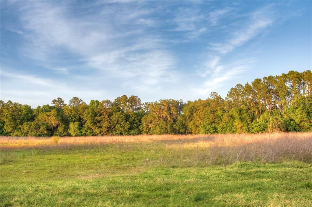 For Sale: $1,700,000 (4 beds, 3 baths, 3449 Square Feet)
