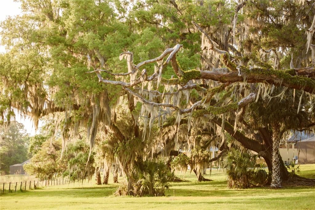 For Sale: $1,700,000 (4 beds, 3 baths, 3449 Square Feet)