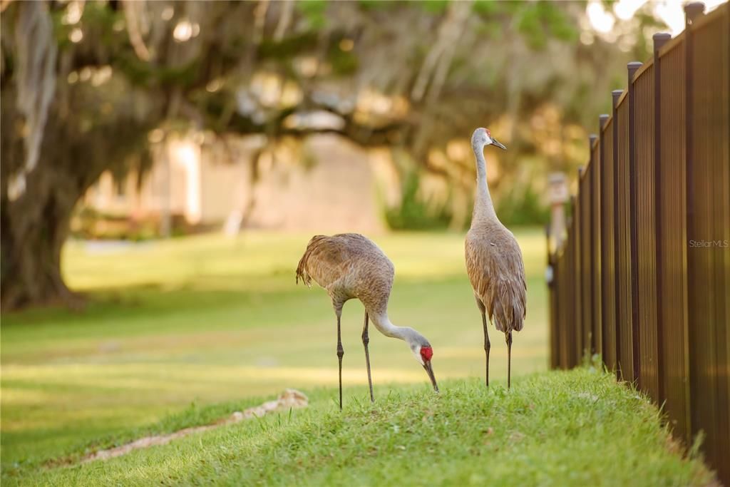 For Sale: $1,700,000 (4 beds, 3 baths, 3449 Square Feet)